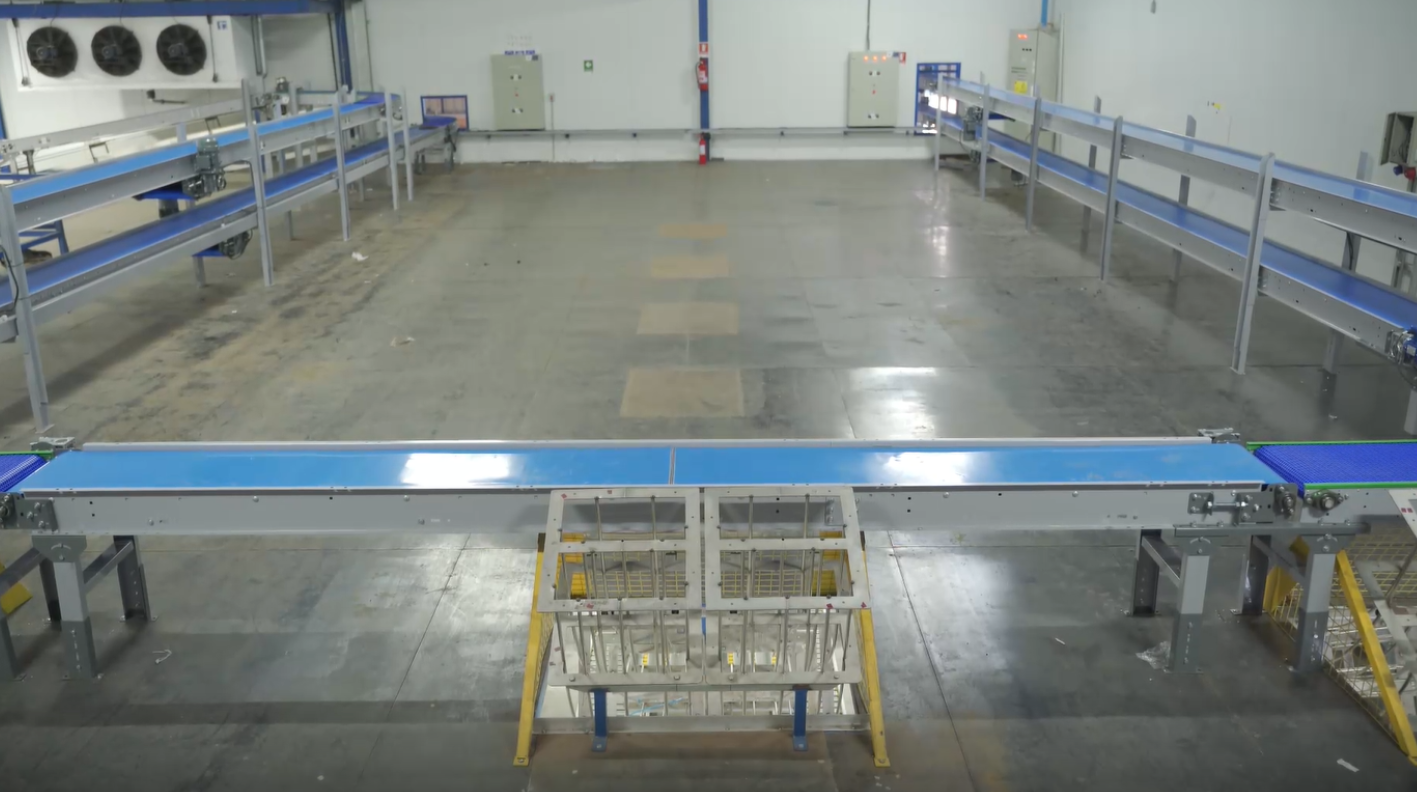 Circuito de transportadores en dos niveles para cerezas en planta de packing
