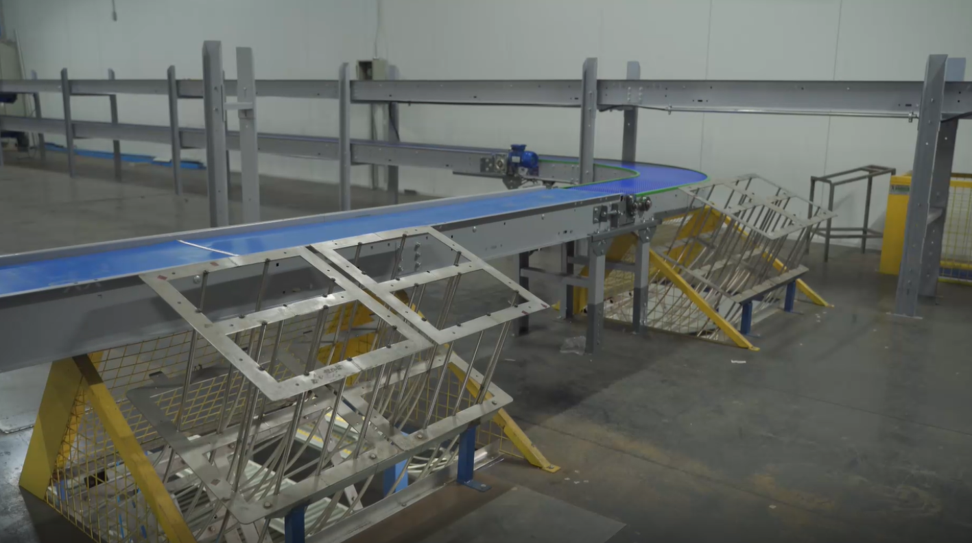 Sistema de transportadores en dos niveles para líneas de exportación de cerezas